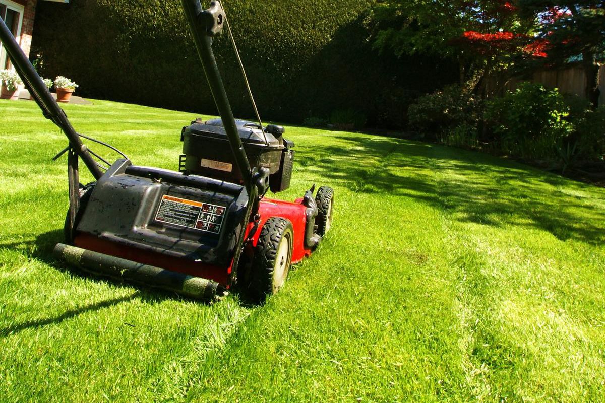 Lawn mowing 2025 repairs near me